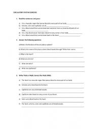 English Worksheet: circulatory system exercises