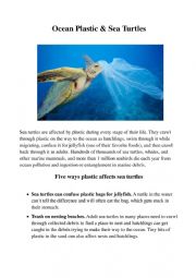 Ocean Plastic and Turtles