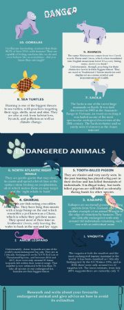 Endangered animals reading and writing