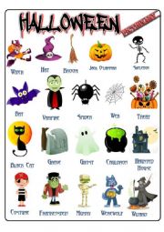 Halloween Vocabulary Pictionary