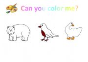 English Worksheet: Brown Bear Coloring Worksheet