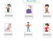 English Worksheet: Pronouns he and she