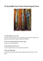 15 incredible facts about giant sequoia trees