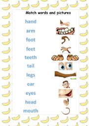 English Worksheet: Animal Body Parts worksheet
