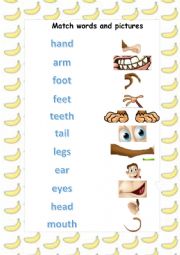 Animal Body Parts worksheet