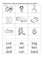 English Worksheet: cvc words practice