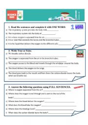 English Worksheet: Respiratory system quiz