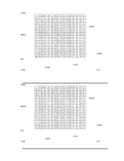 puzzle of verbs in past