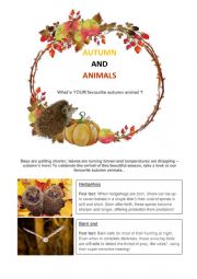 English Worksheet: Autumn animals and grammar test.