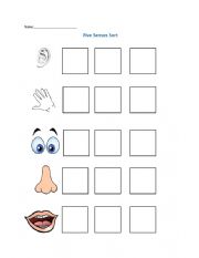 English Worksheet: five senses