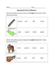 Measurement Appropriate Units