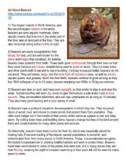 All About Beaver