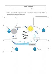 English Worksheet: Water cycle