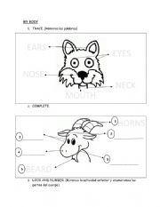 English Worksheet: My body