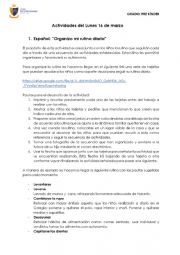 English Worksheet: Pre kinder activities