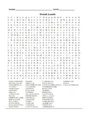 English Worksheet: Word Search Vocabulary