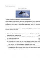 English Worksheet: Quiz Science Grade 4