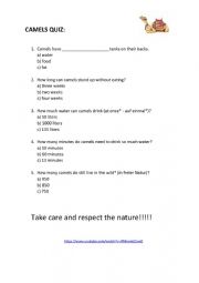 English Worksheet: The Camel Quiz
