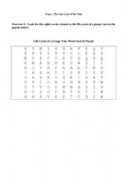 English Worksheet: The vine cycle - vocabulary exercises