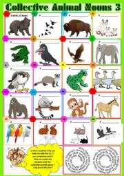 COLLECTIVE ANIMAL NOUNS 3 exercises + KEY