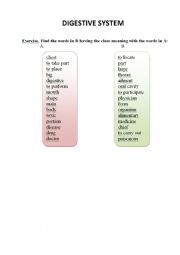 English Worksheet: Digestive system