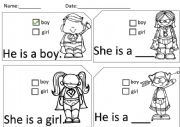English Worksheet: HE SHE