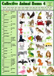 COLLECTIVE ANIMAL NOUNS 4 exercises + KEY