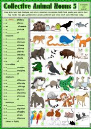 COLLECTIVE ANIMAL NOUNS 5 exercises + KEY