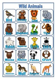 English Worksheet: PICTIONARY Wild Animals