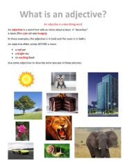 English Worksheet: Adjectives practice what is an adjective