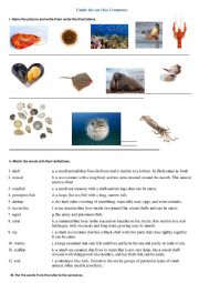 English Worksheet: Under the sea (Sea Creatures)