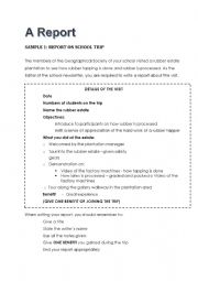 English Worksheet: a report on a trip