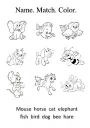 English Worksheet: Animals