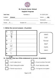 English Worksheet: Animals and plants