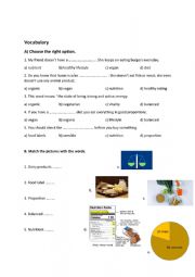 vocabulary worksheet