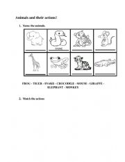 English Worksheet: Animals and actions + True or false