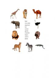 African animals - matching exercise