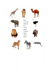 English Worksheet: African animals - matching exercise