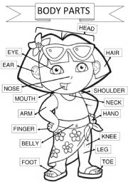 English Worksheet: Human Body Parts