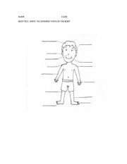 English Worksheet: body