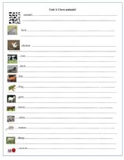 English Worksheet: Get ready for starter unit 1