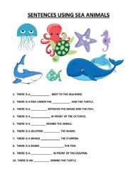 English Worksheet: SEA ANIMALS AND PREPOSITIONS