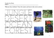 English Worksheet: Wild animals - habitats 1