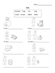 English Worksheet: I have a pet