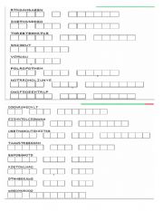 English Worksheet: CHORES