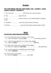 English Worksheet: The use of modals and wish
