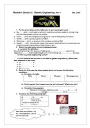 English Worksheet: 3rd form genetic engineering 