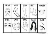 English Worksheet: Body Parts Bingo