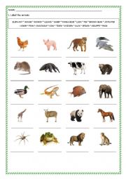 Wild and farm animals