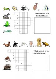 English Worksheet: Animal crossword